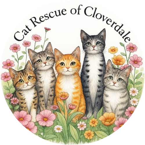Cat Rescue of Cloverdale