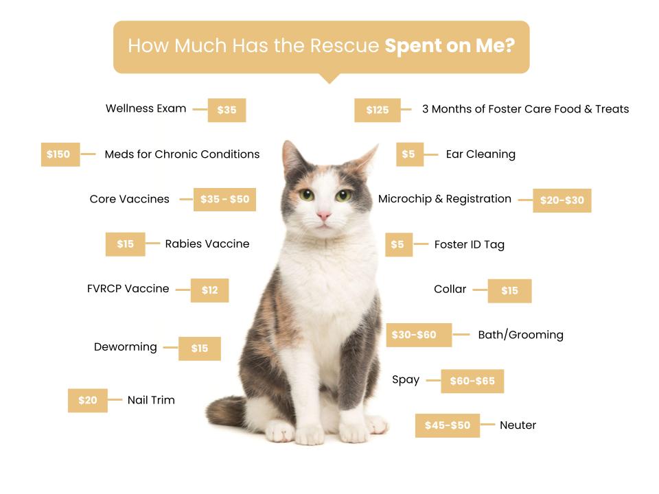 Cat Rescue of Cloverdale Fee Graphic