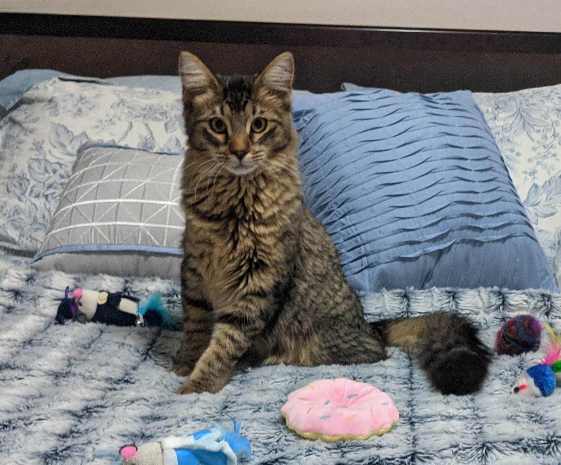 PXL_20210111_023124411