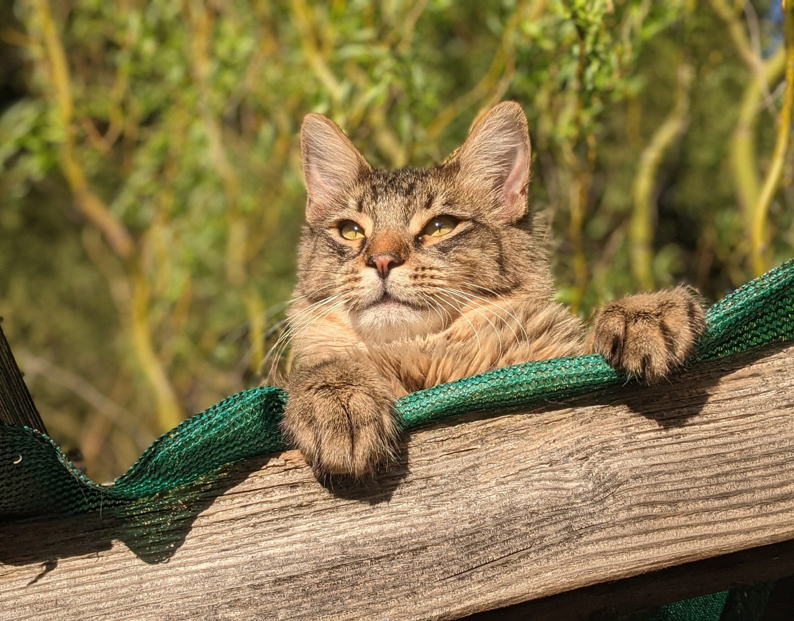 PXL_20210503_014519204.PORTRAIT