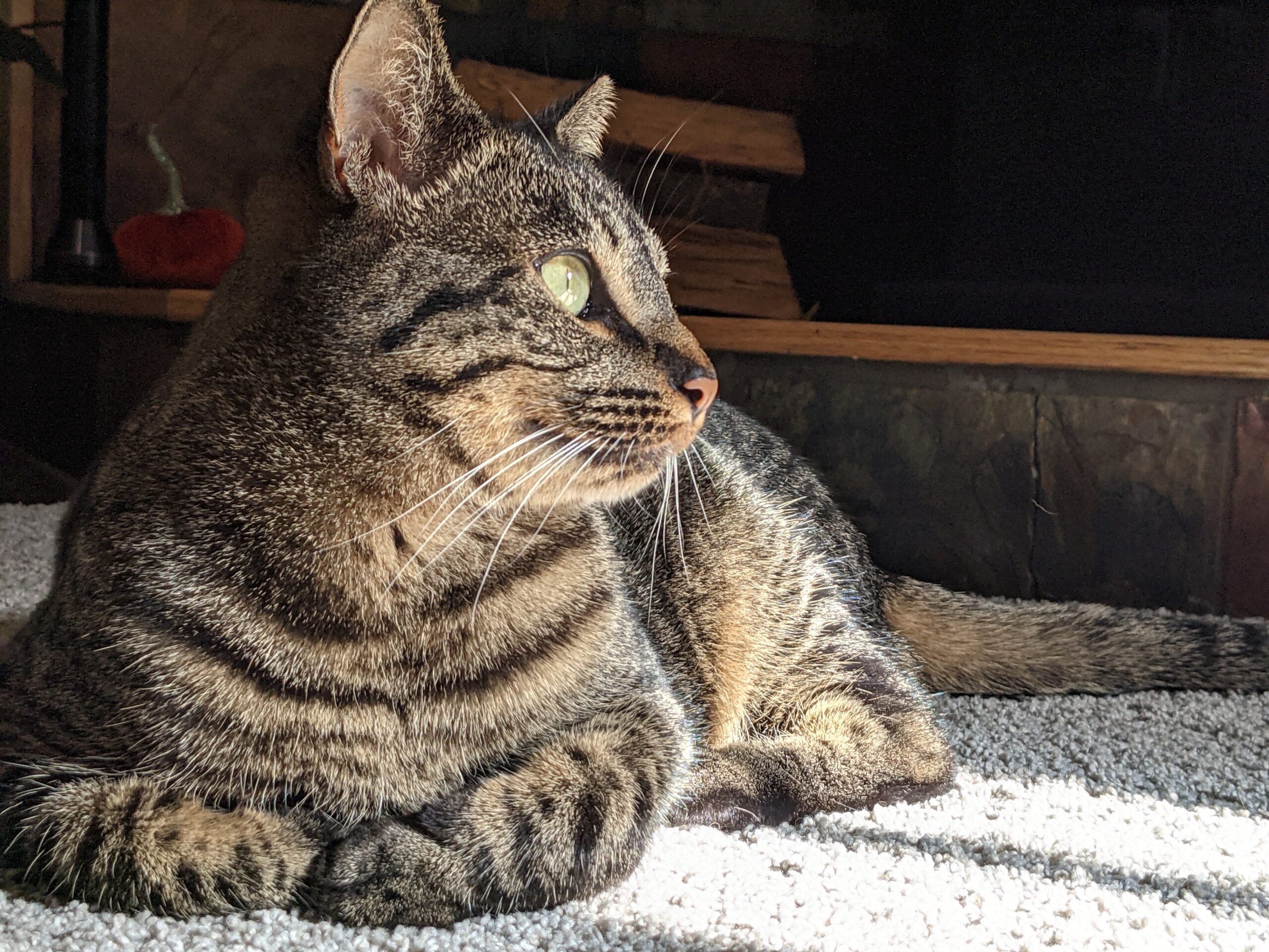 PXL_20211011_171529320