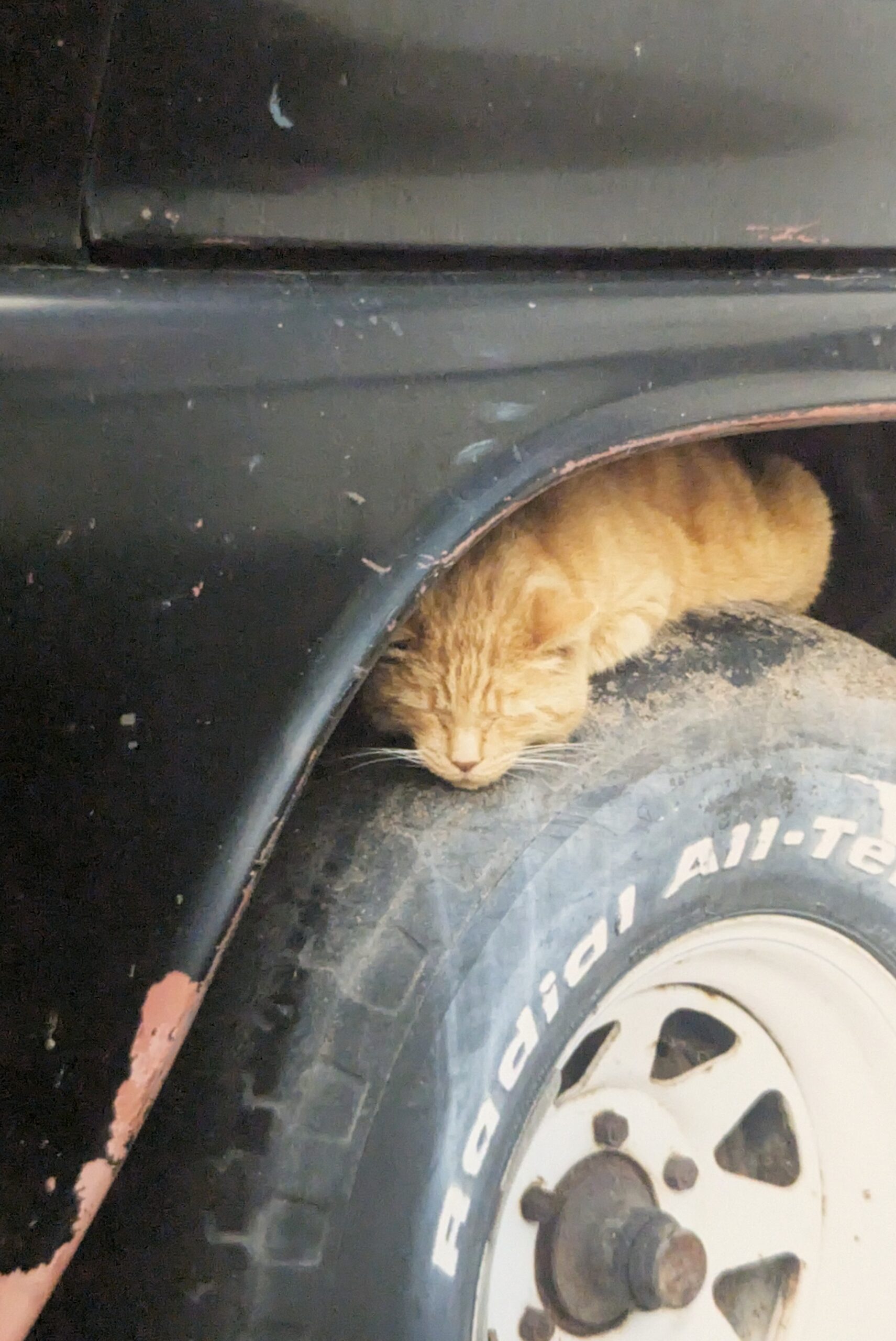 PXL_20250510_173937979~2